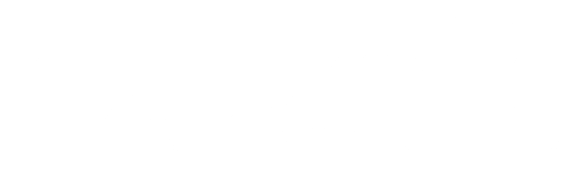 Panditon White Logo